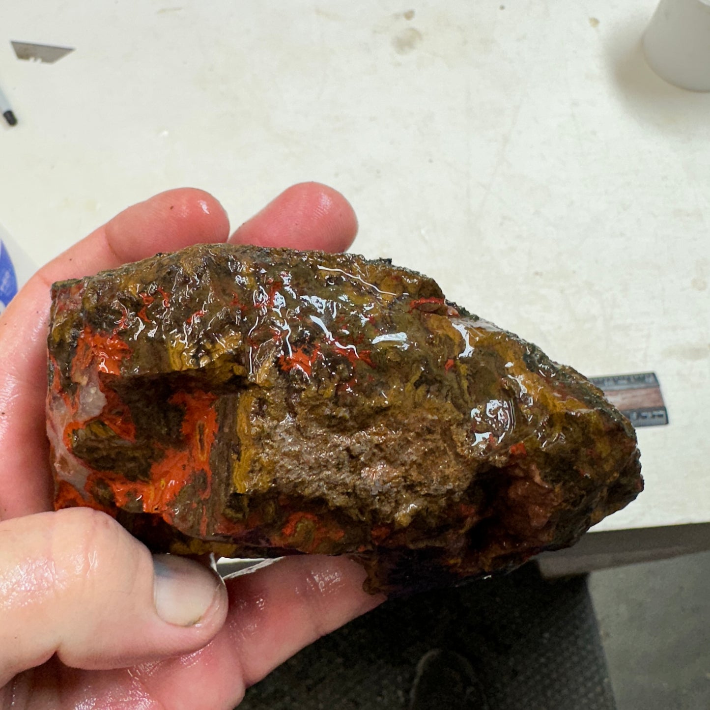 MOROCCAN SEAM AGATE Faced Rough - 1.32 Pounds