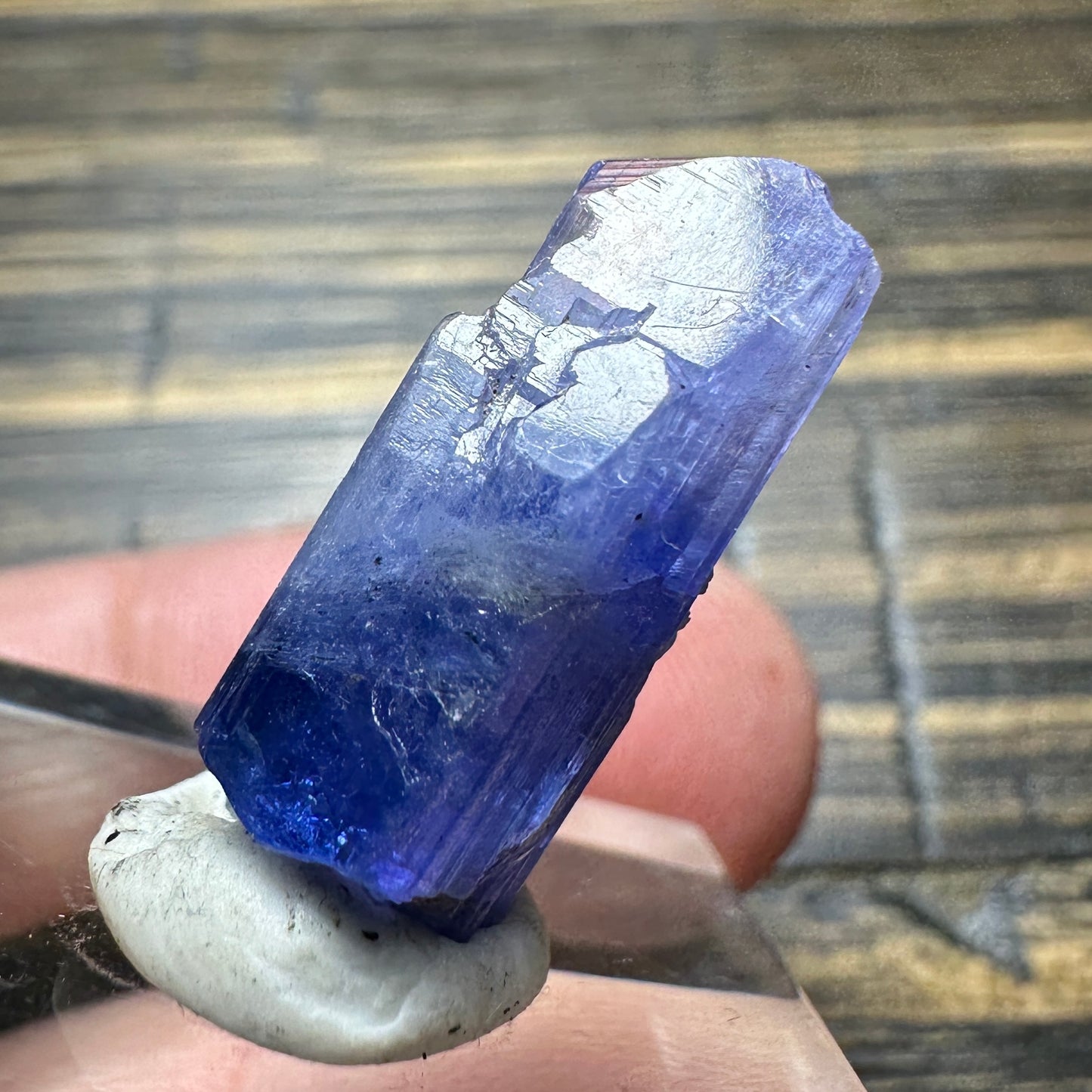 TANZANITE Crystal Display Mineral Specimen