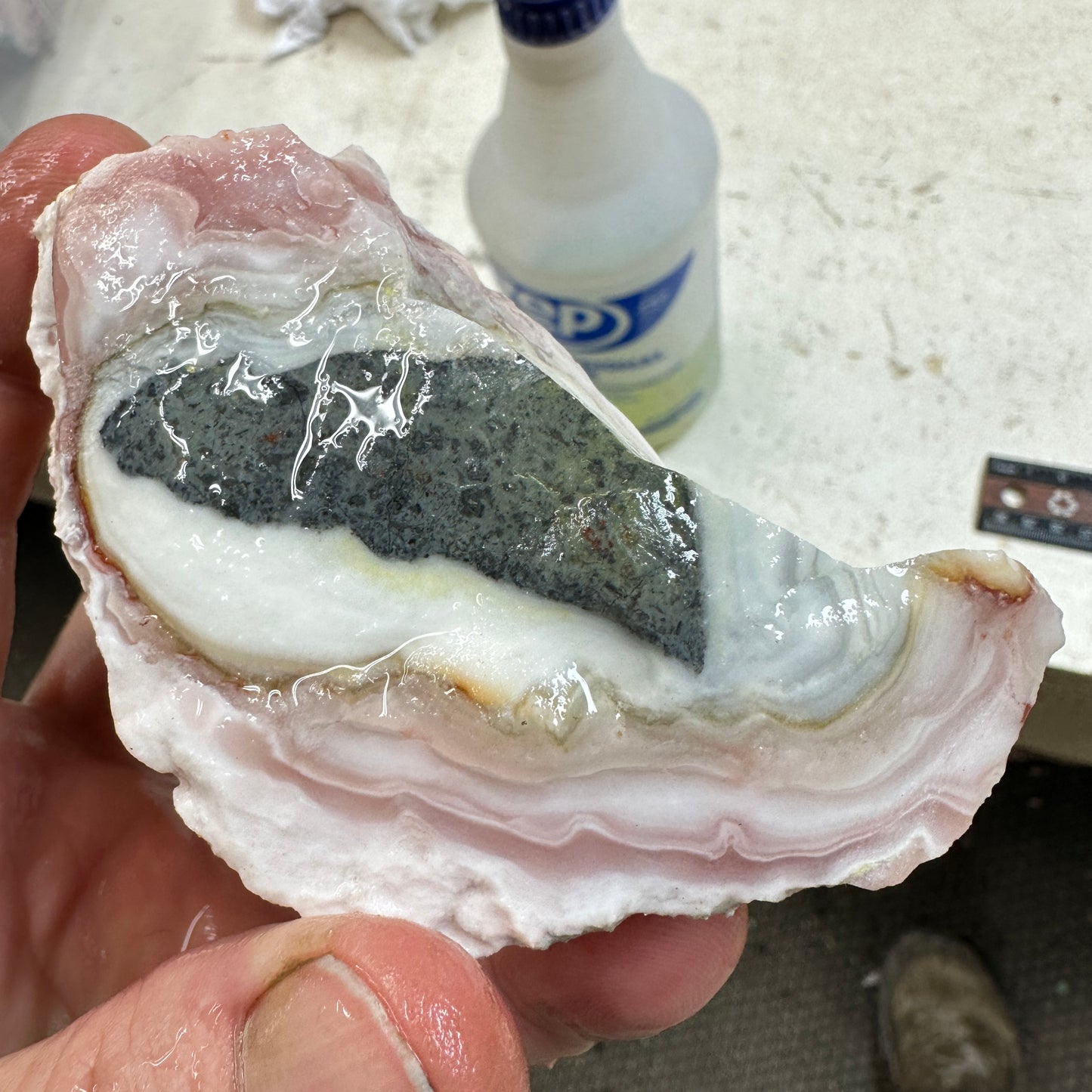 WINDY MOUNTAIN AGATE Rough - 0.53 Pounds