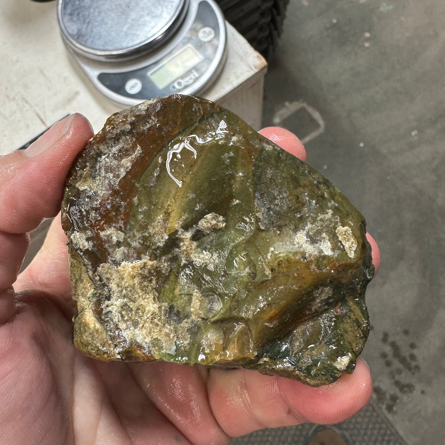 BLUE MOUNTAIN JASPER Rough - 0.99 Pounds