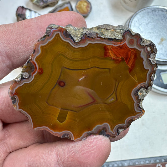 CONDOR AGATE Polished Specimen