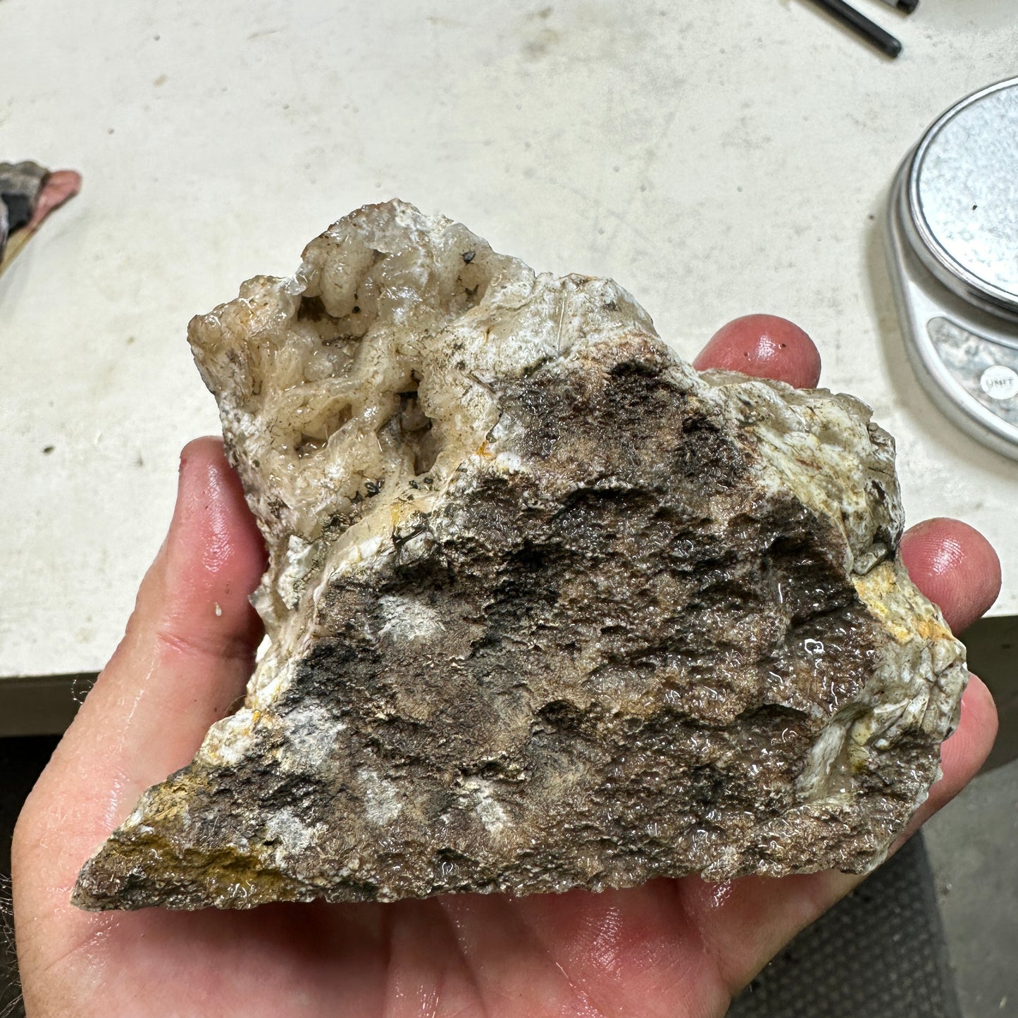 NEVADA POINT PLUME AGATE Rough - 1.27 Pounds