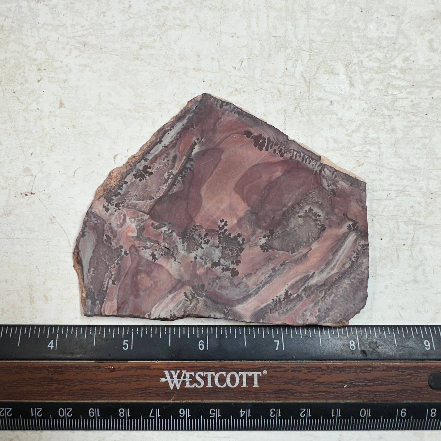 APACHE RHYOLITE Slab - 88 grams