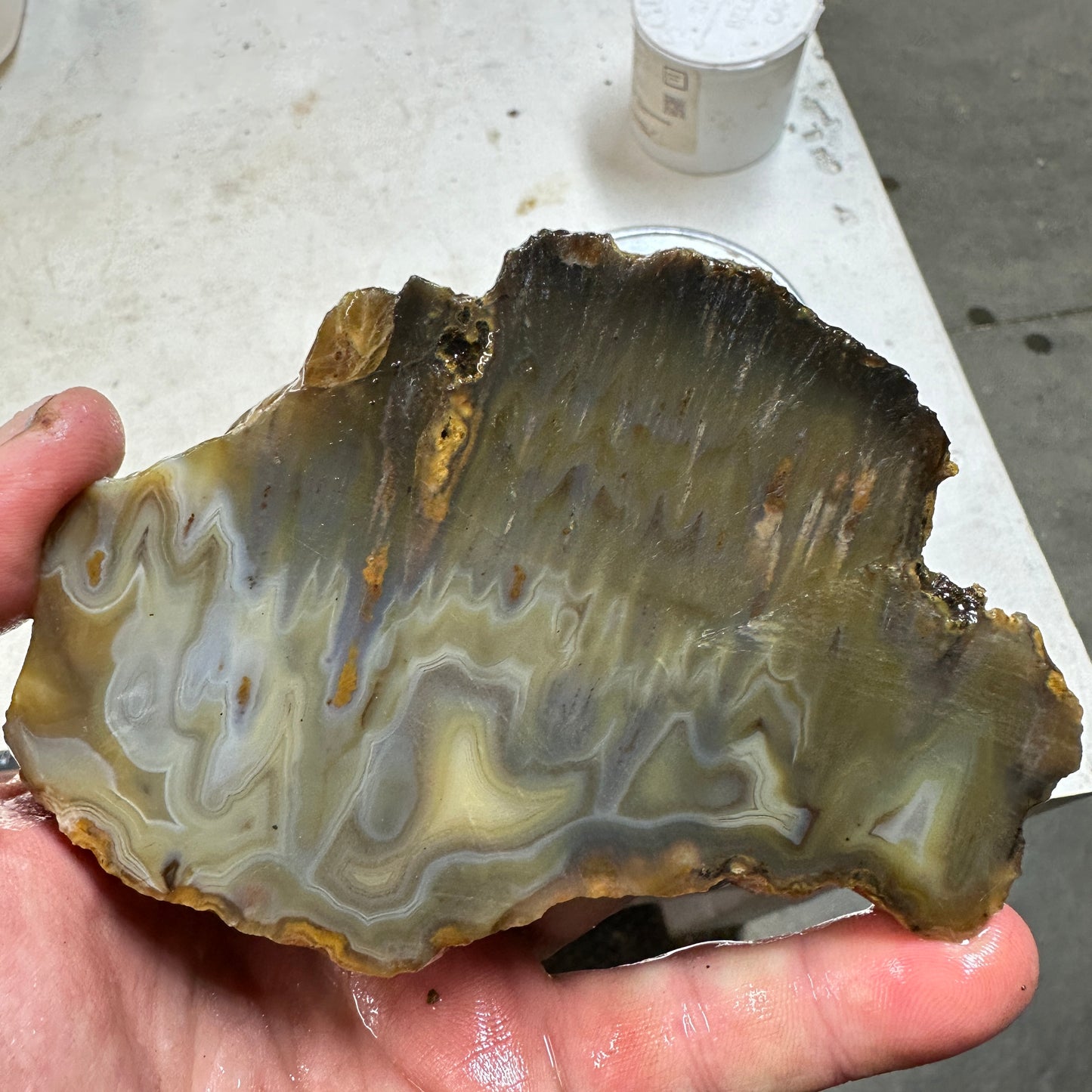 EAST TIMOR AGATE Faced Rough - 1.75 Pounds