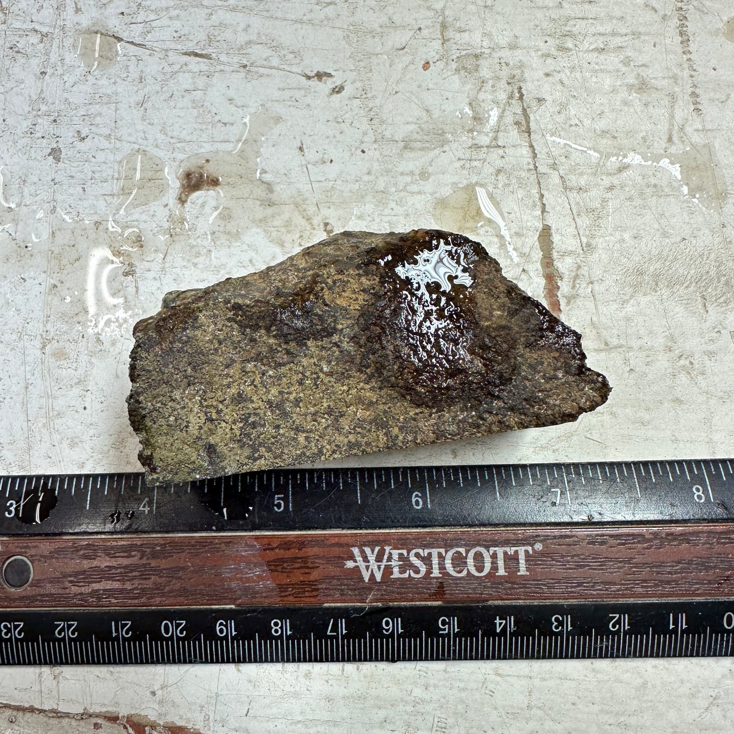 IDAHO WILDFIRE PLUME AGATE Faced Rough - 4.88ozs