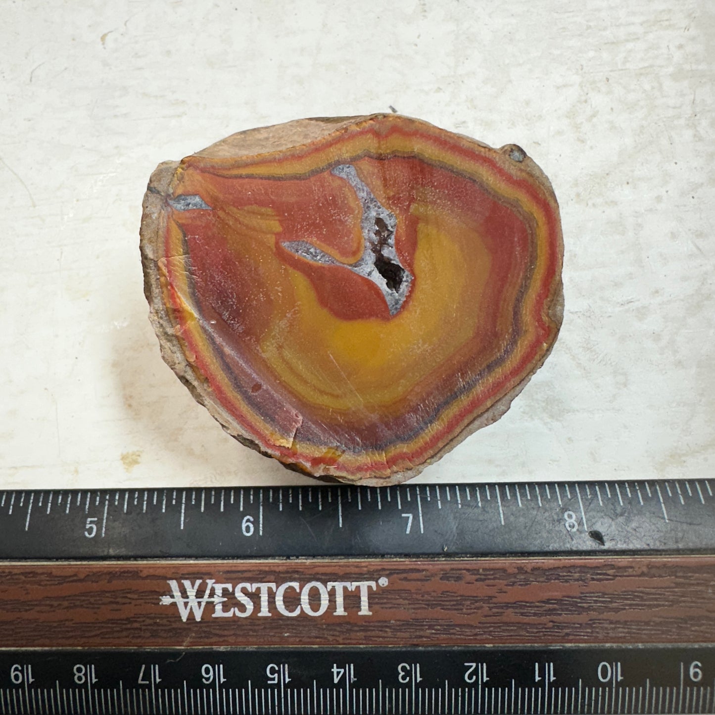 FIGHTING BLOOD AGATE Rough - 0.29 Pounds