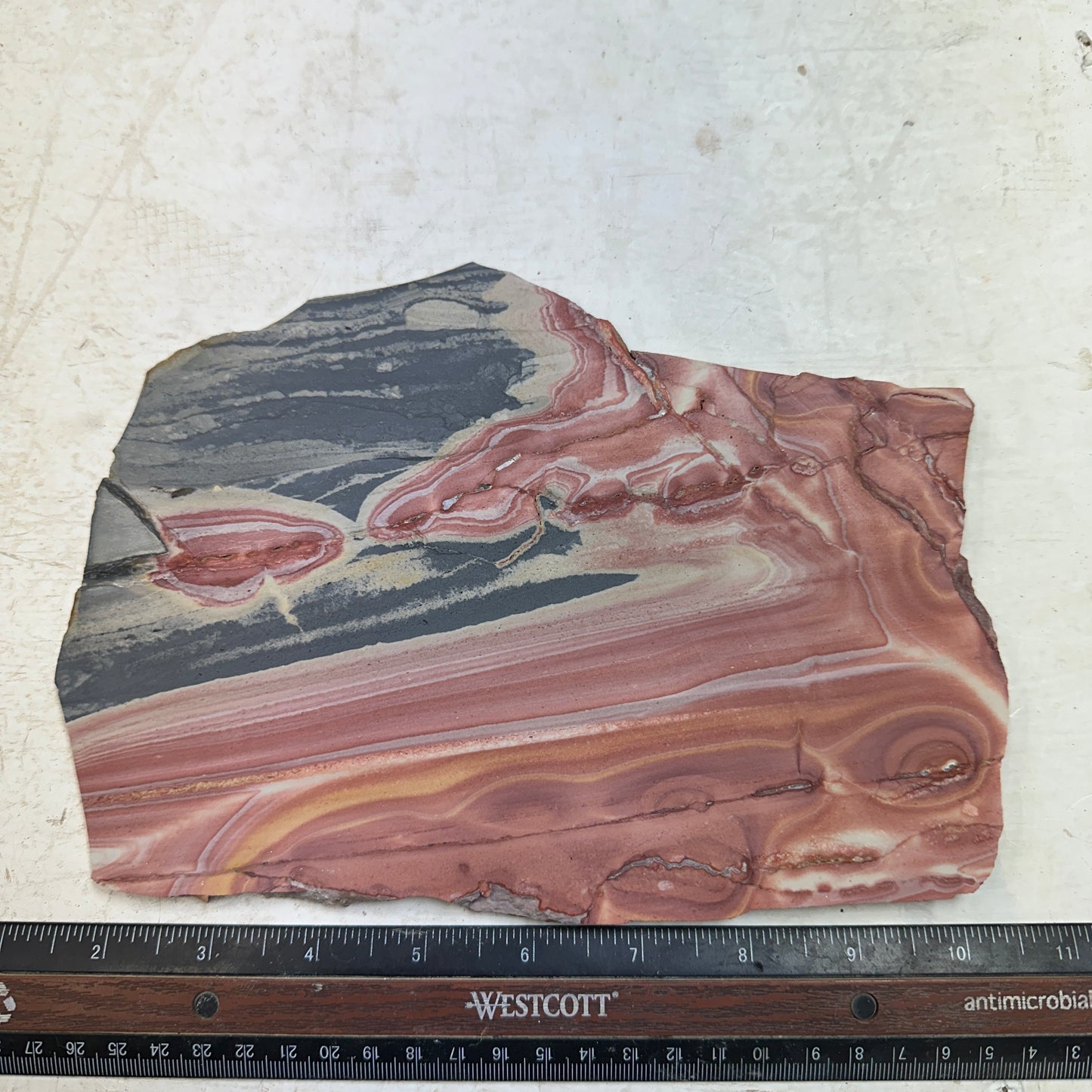 WINDY MOUNTAIN JASPER Slab - 528 grams