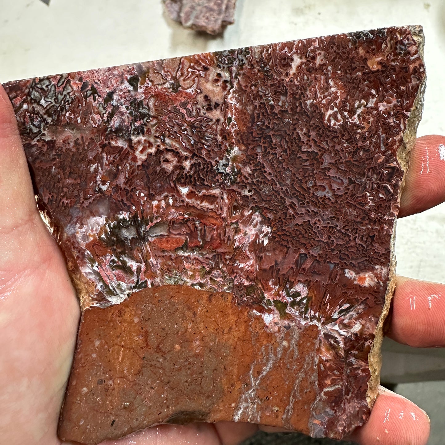 CADY MOUNTAIN AGATE Slab - 222 grams