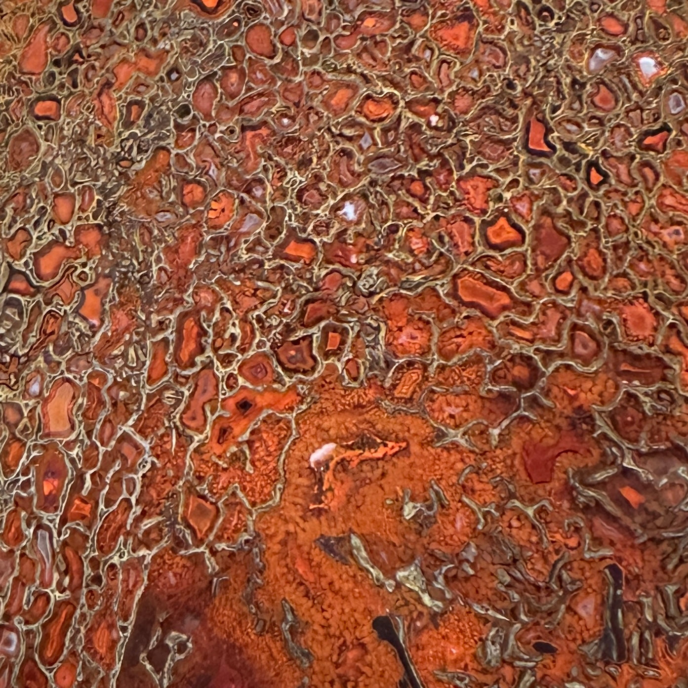 GEMBONE Dinosaur Bone Slab - 103 grams