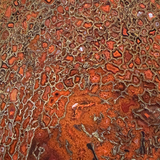 GEMBONE Dinosaur Bone Slab - 103 grams