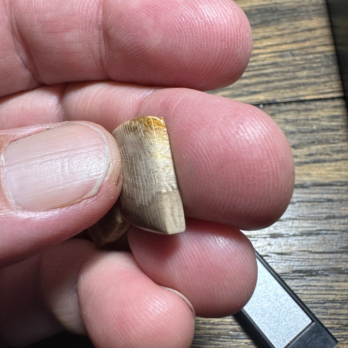 PETRIFIED WOOD cabochon pair