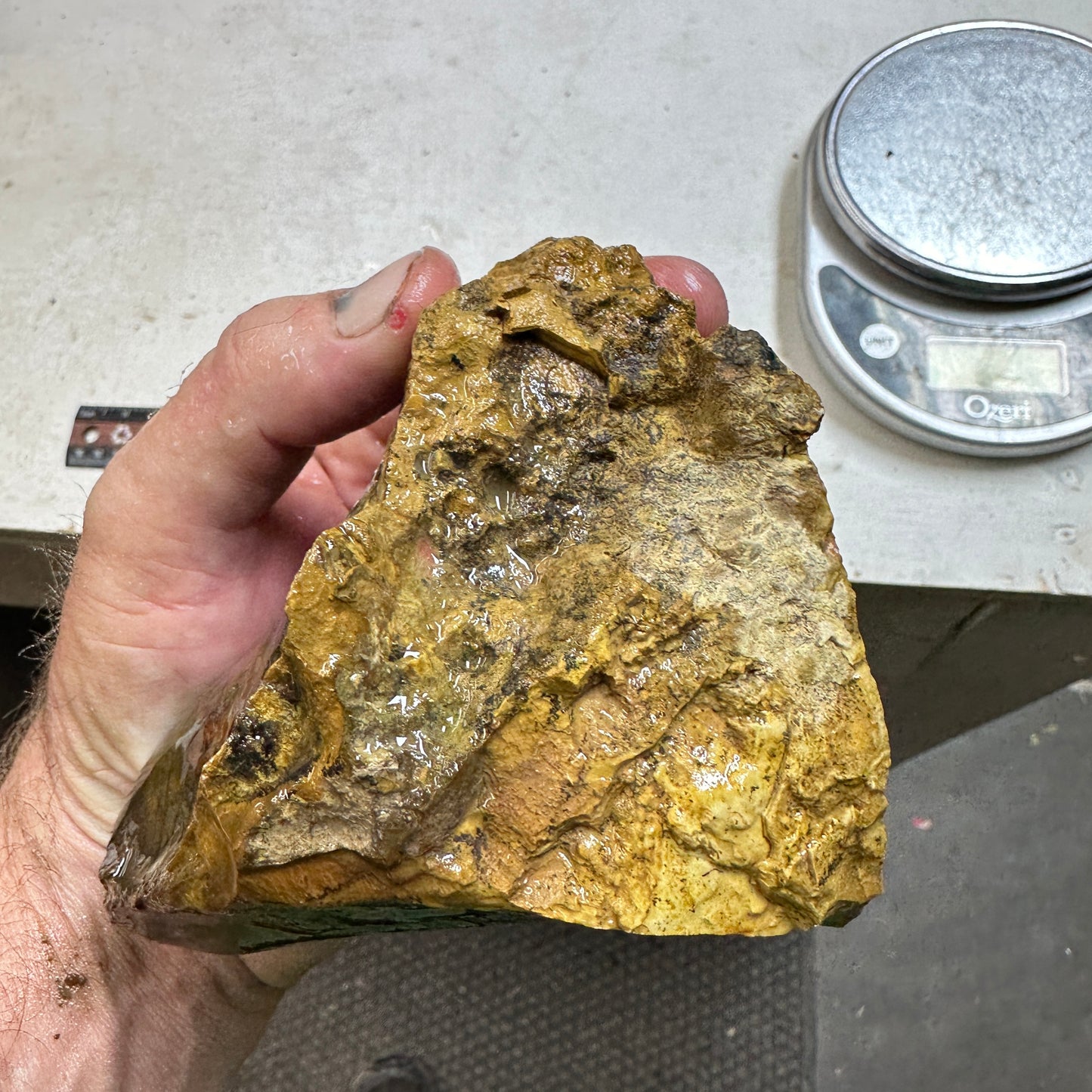 BLUE MOUNTAIN JASPER Rough - 2.14 Pounds