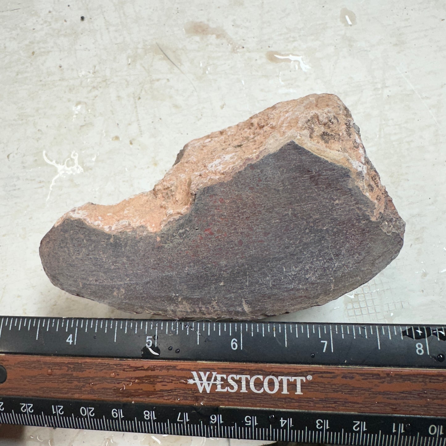 GEMBONE Dinosaur Bone Faced Rough - 1.34 Pounds