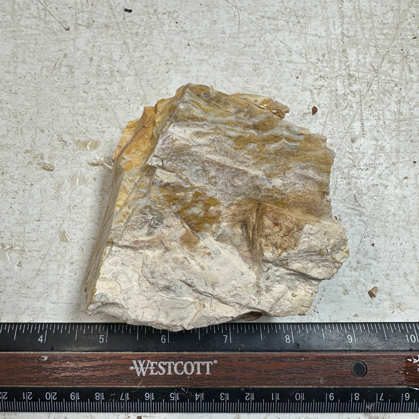 Golden HOWARDITE Faced Rough - 11.6ozs