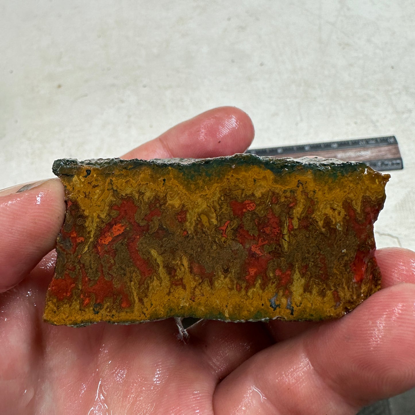 MOROCCAN SEAM AGATE Rough - 7.3ozs