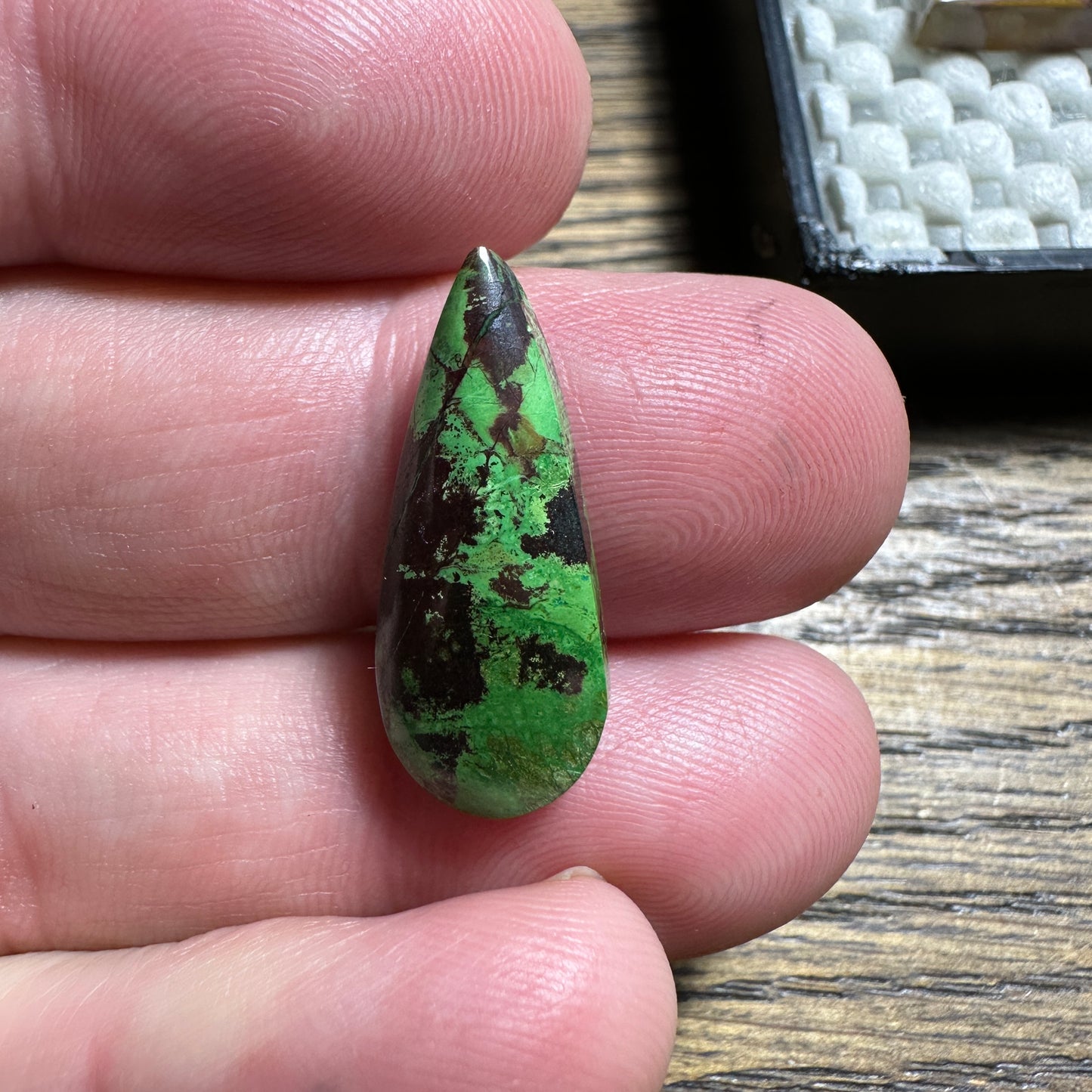 PARROT WING CHRYSOCOLLA cabochon