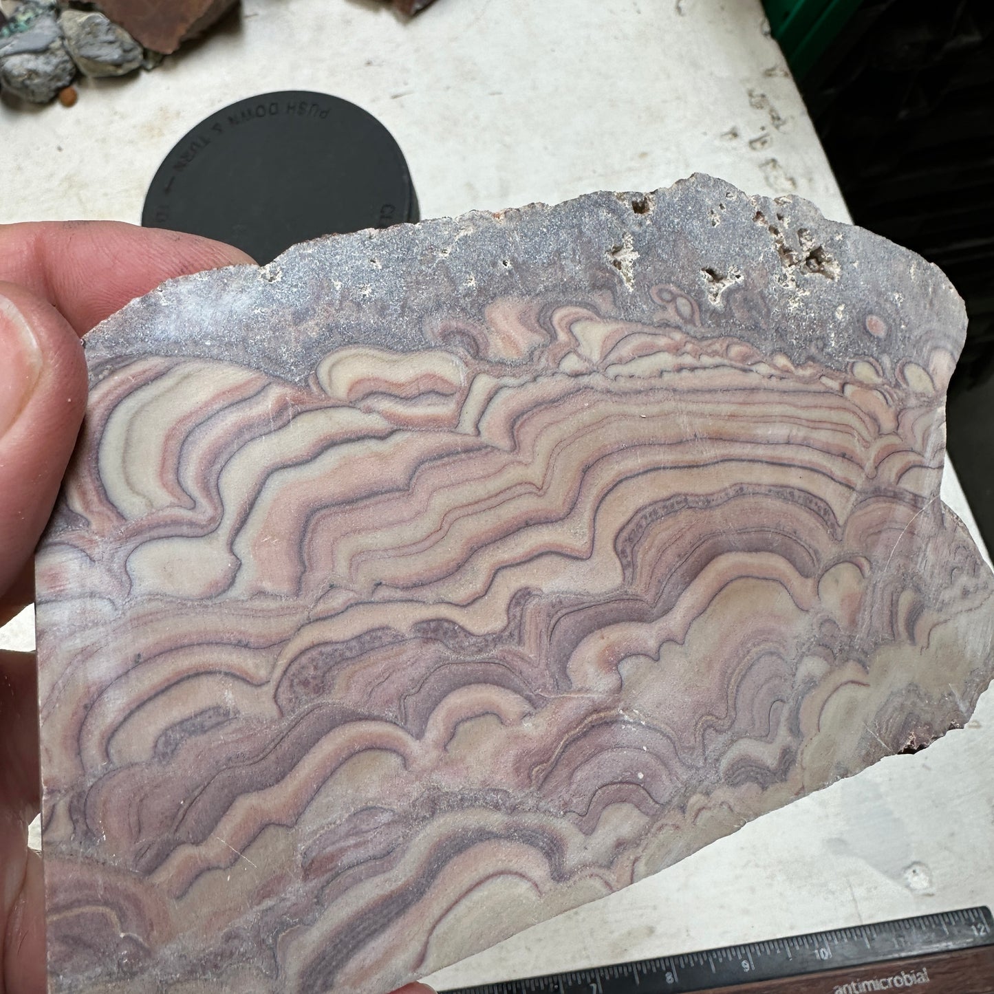 ROLLING HILLS DOLOMITE Slab - 233 grams