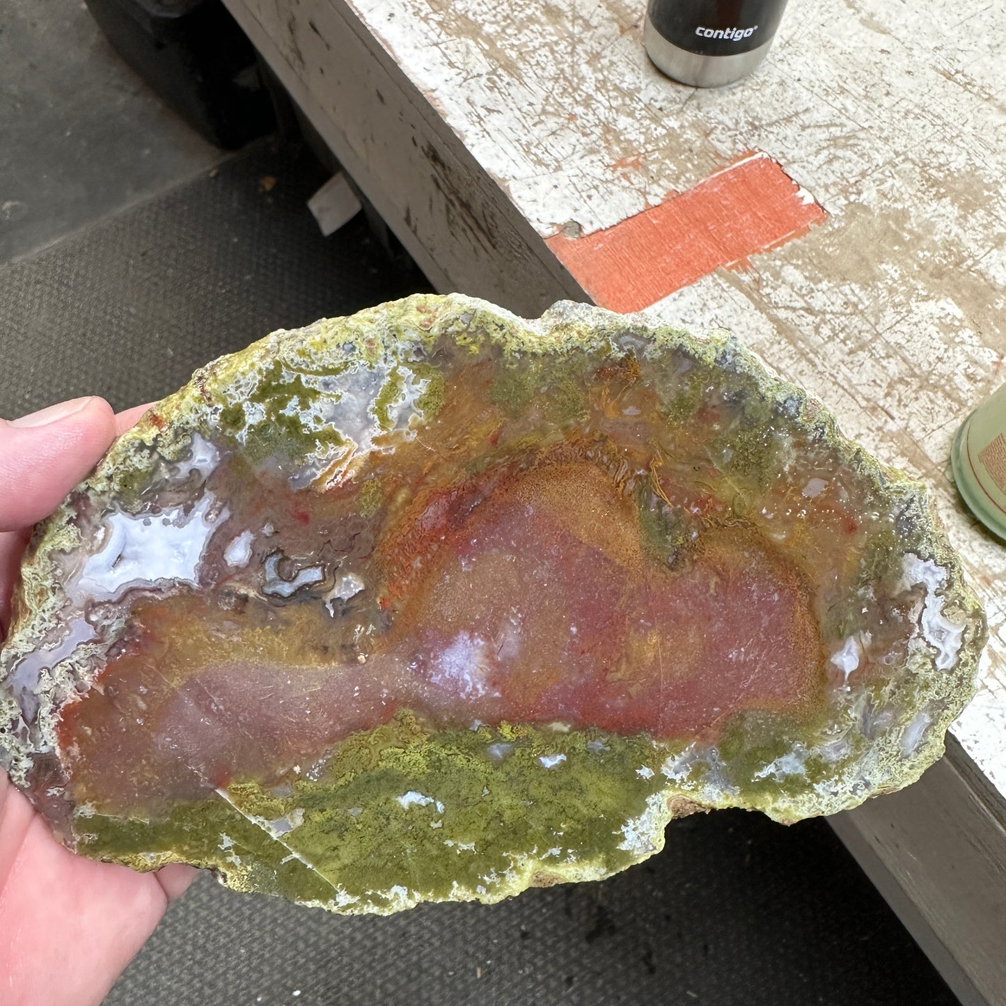 AGUA NUEVA AGATE Slab - 362 grams