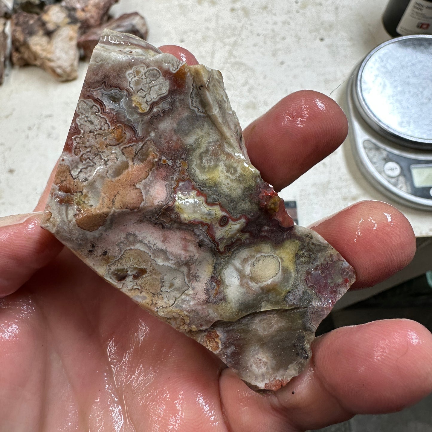 CRAZY LACE AGATE Rough - 0.61 pounds