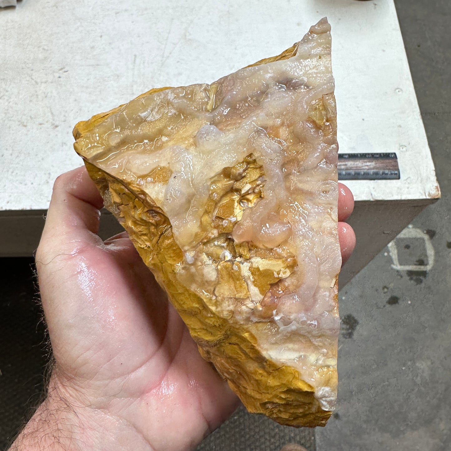 GOLDEN HOWARDITE Faced Rough - 2.58 Pounds