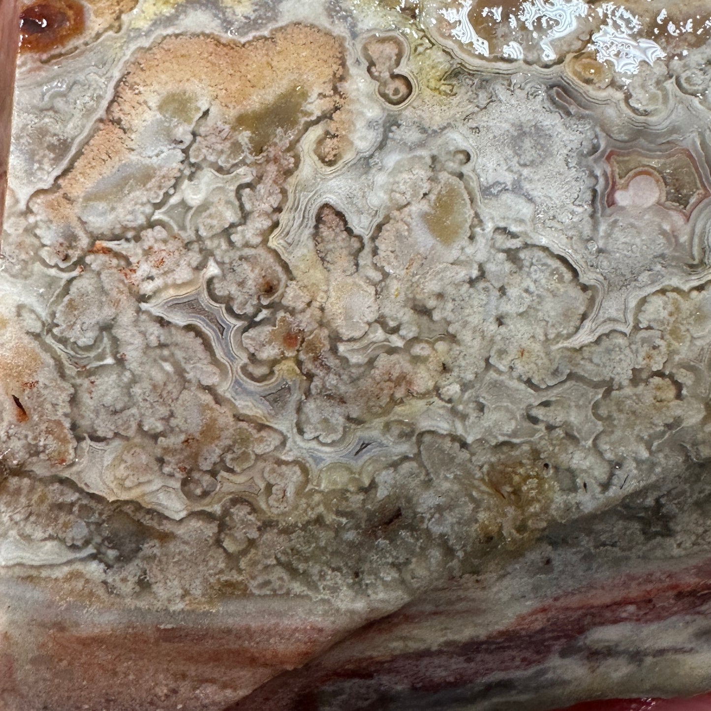 CRAZY LACE AGATE Rough - 0.61 pounds