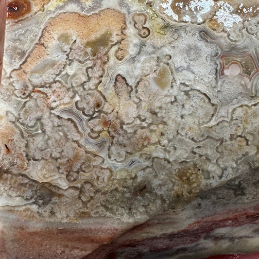 CRAZY LACE AGATE Rough - 0.61 pounds