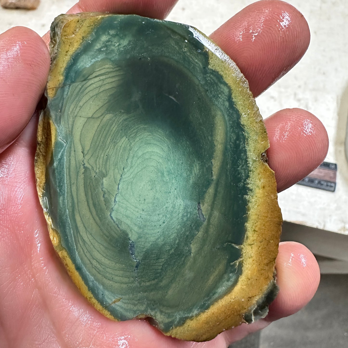 INDONESIAN POLYCHROME JASPER Slab - 79 grams