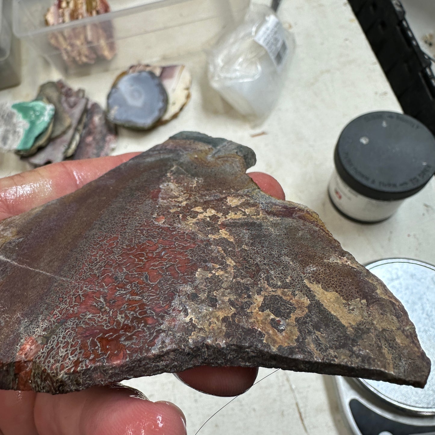 GEMBONE Dinosaur Bone Slab - 142 grams