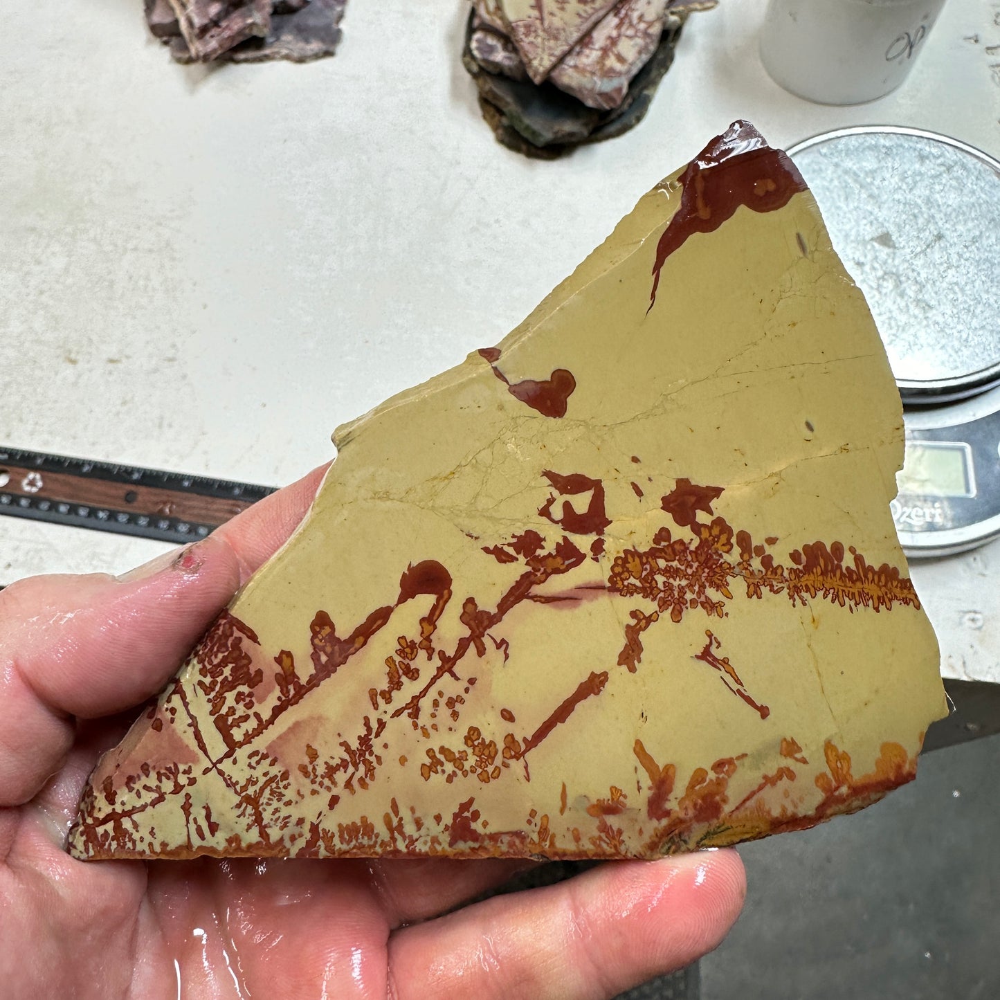 RED FLOWER OWYHEE JASPER Slab - 129 grams