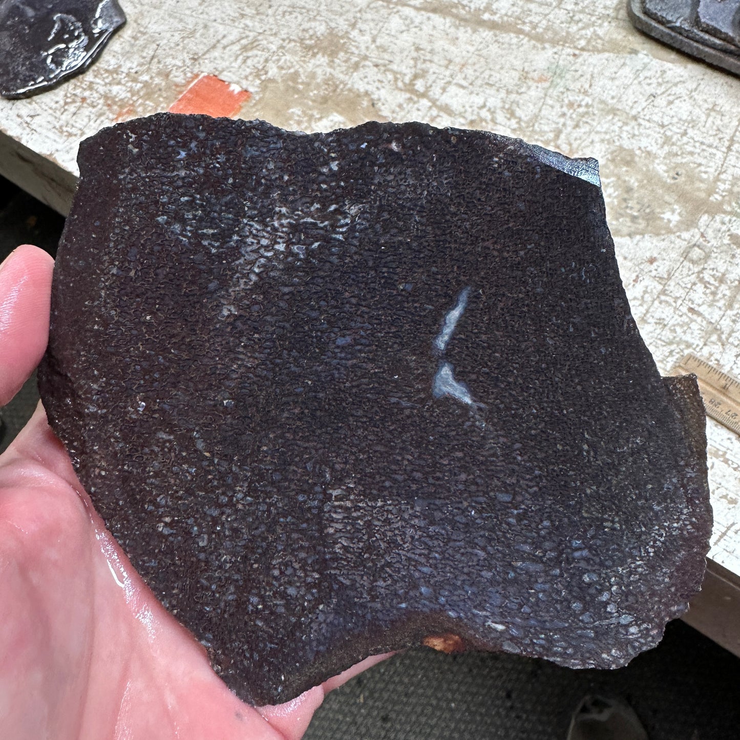 GEMBONE Dinosaur Bone Slab - 288 grams