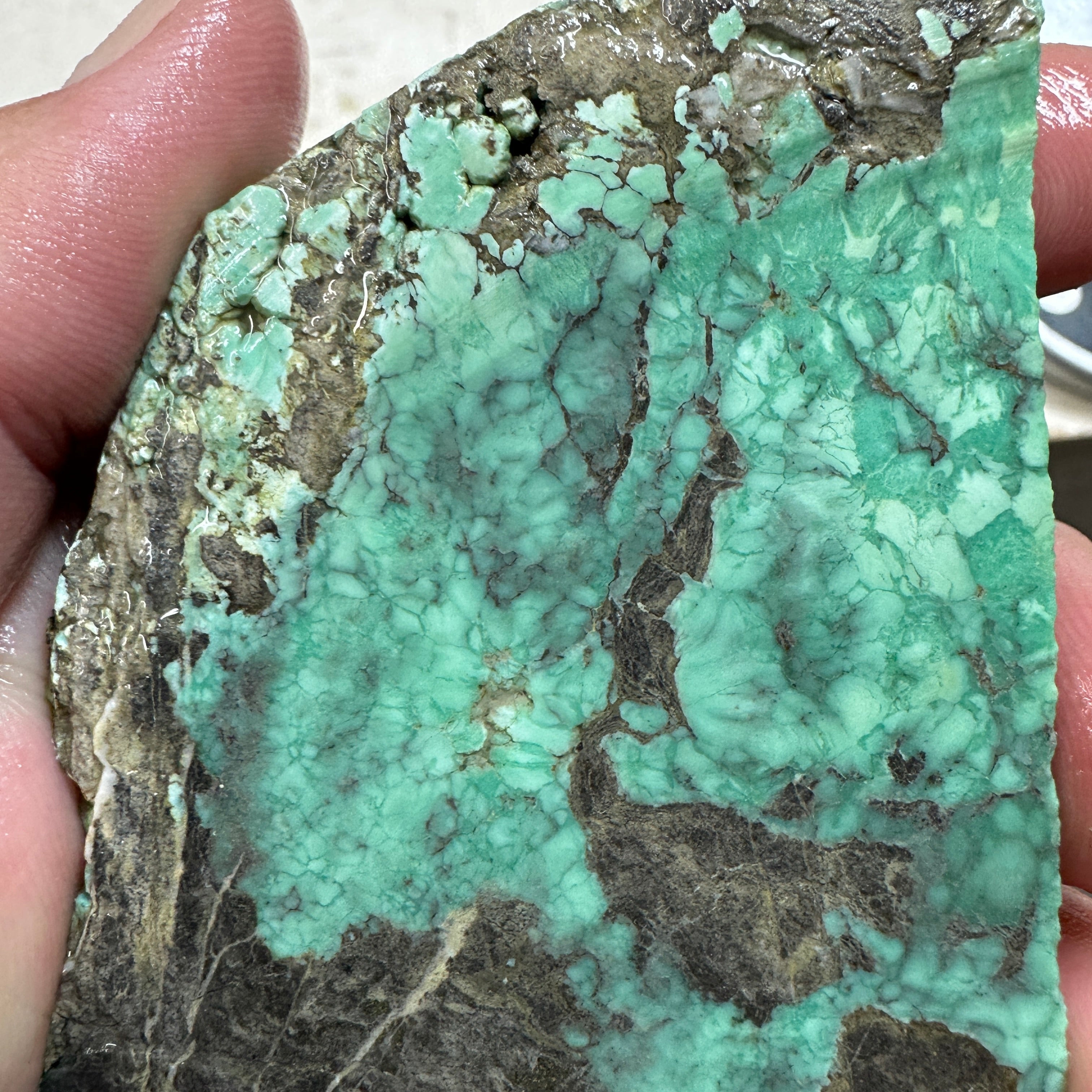 BROKEN ARROW VARISCITE Trimmed Rough Slab - 169 grams – SilverHill Lapidary