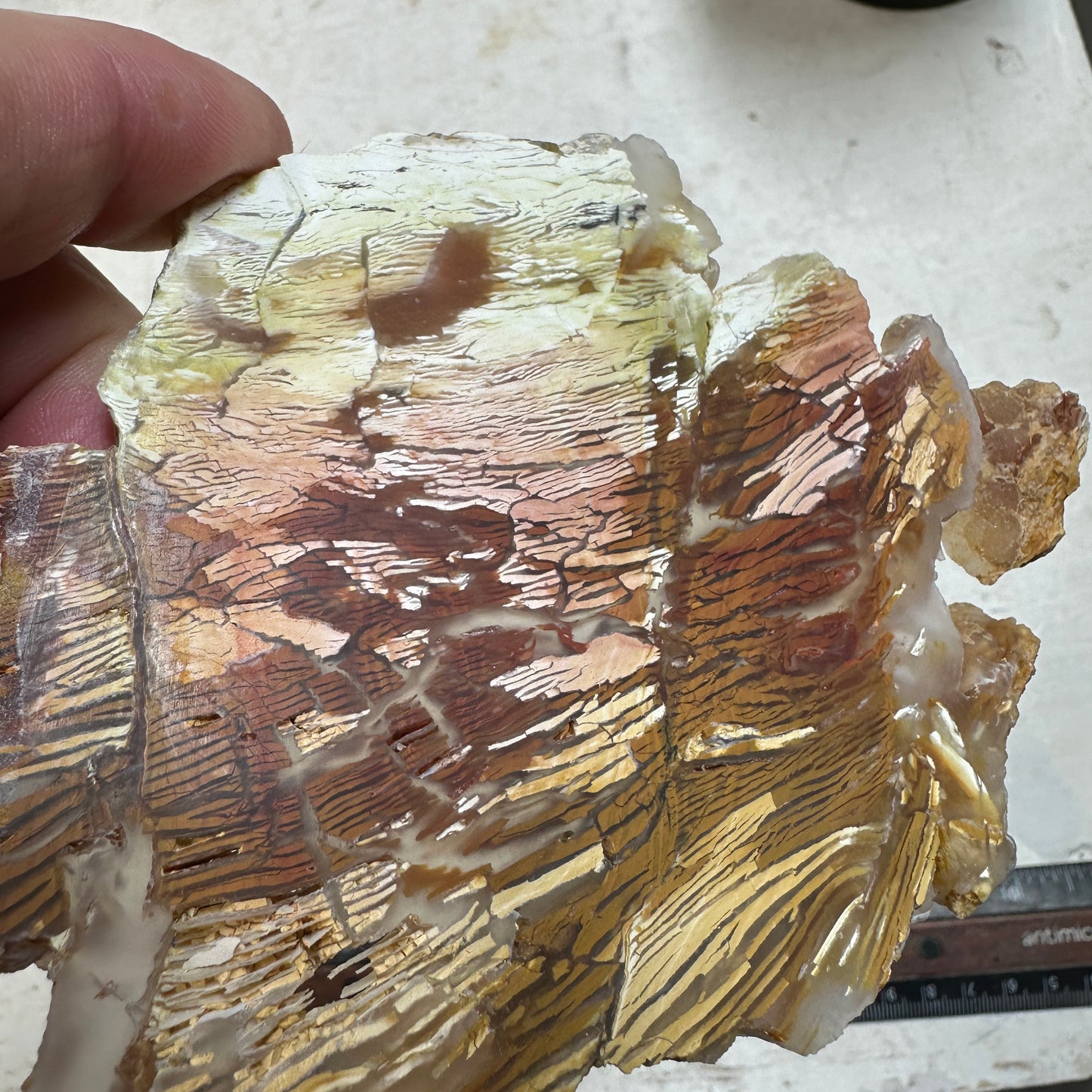 SUNSET HOWARDITE Slab - 124 grams