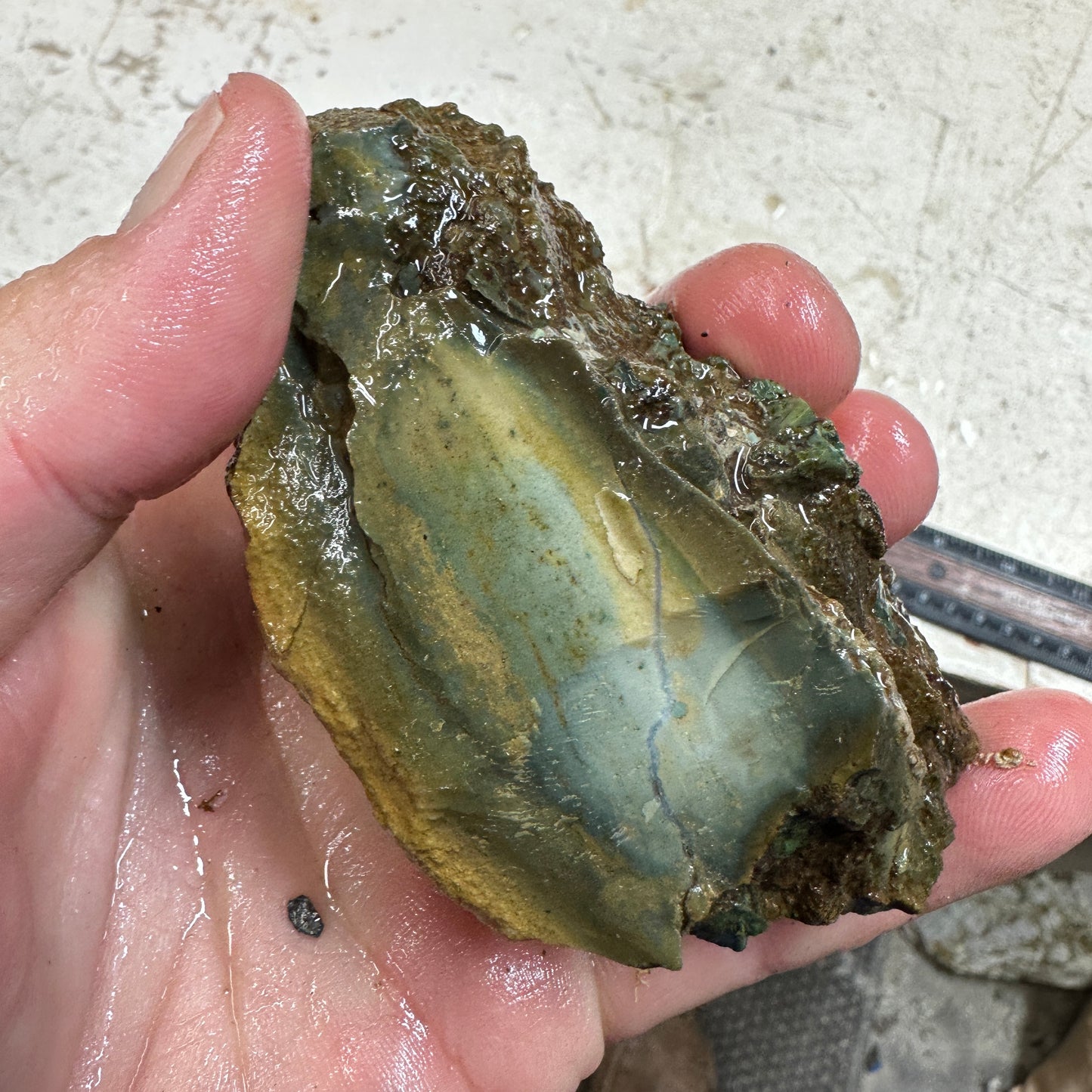 ECHO RIDGE JASPER Rough - 0.69 Pounds