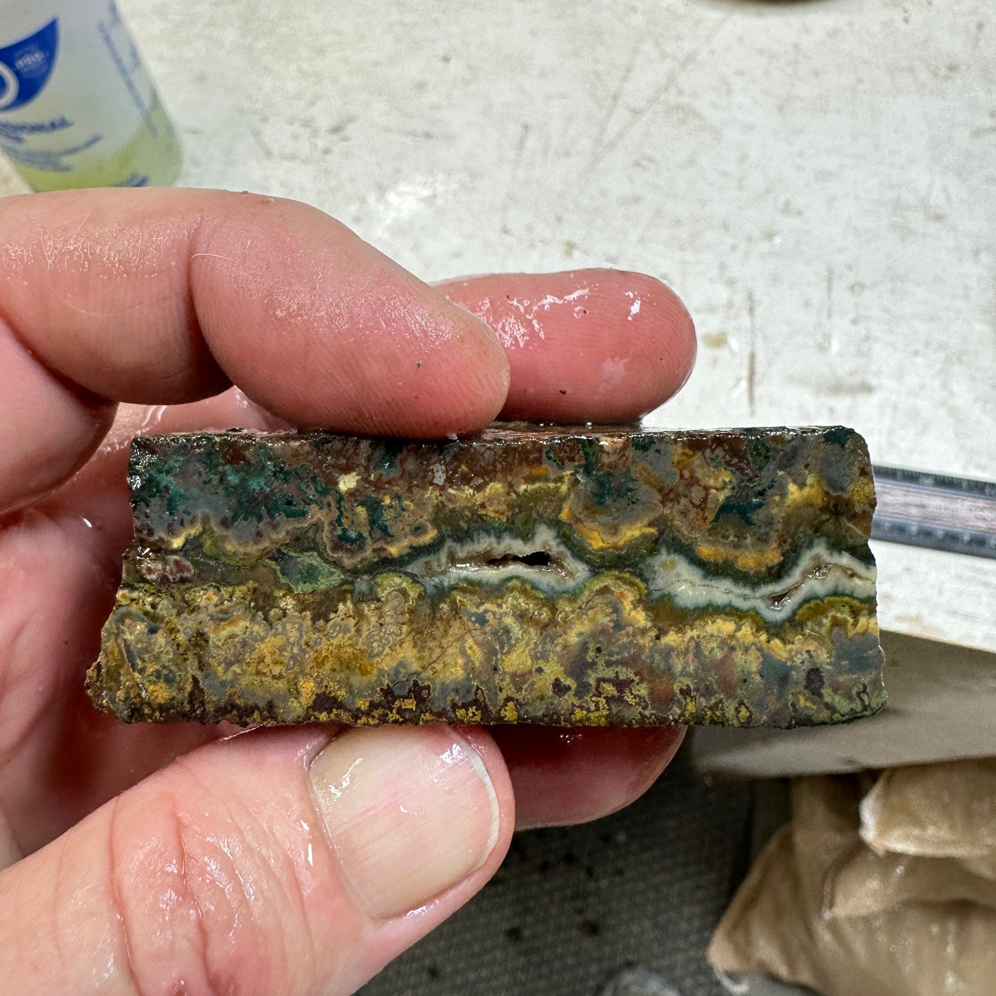 IDAHO WILDFIRE PLUME AGATE Faced Rough - 4.88ozs