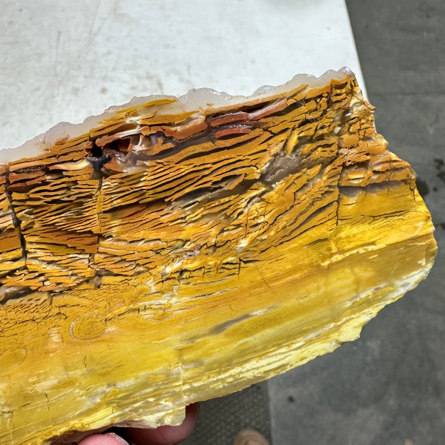GOLDEN HOWARDITE Faced Rough - 2.58 Pounds