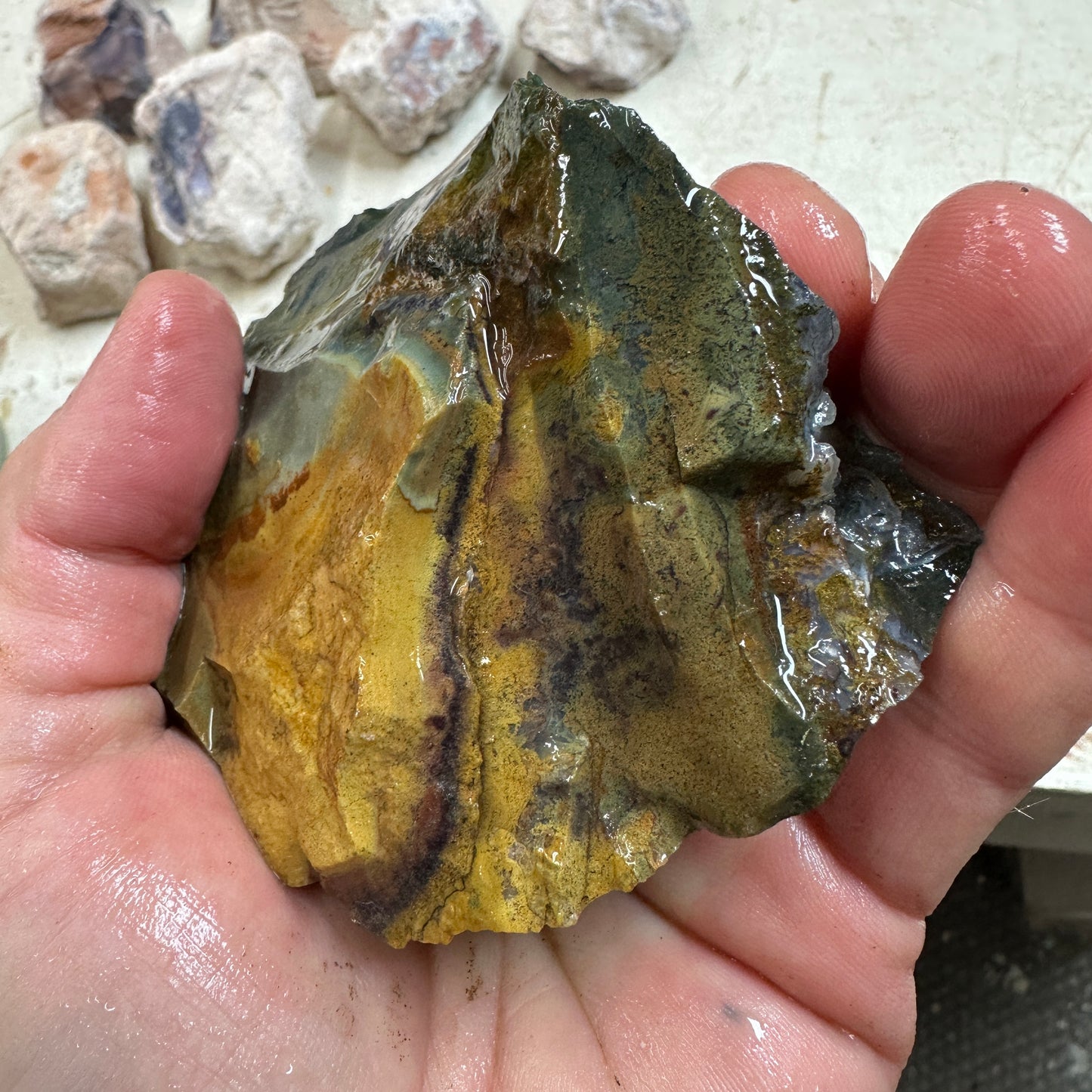 ECHO RIDGE JASPER Rough - 0.93 Pounds