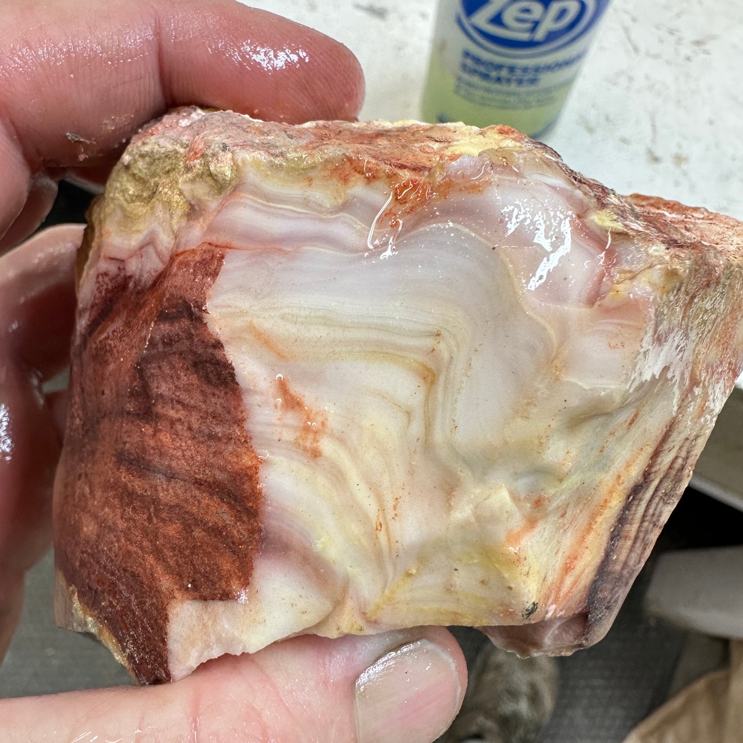 WINDY MOUNTAIN AGATE Rough - 1.04 Pounds