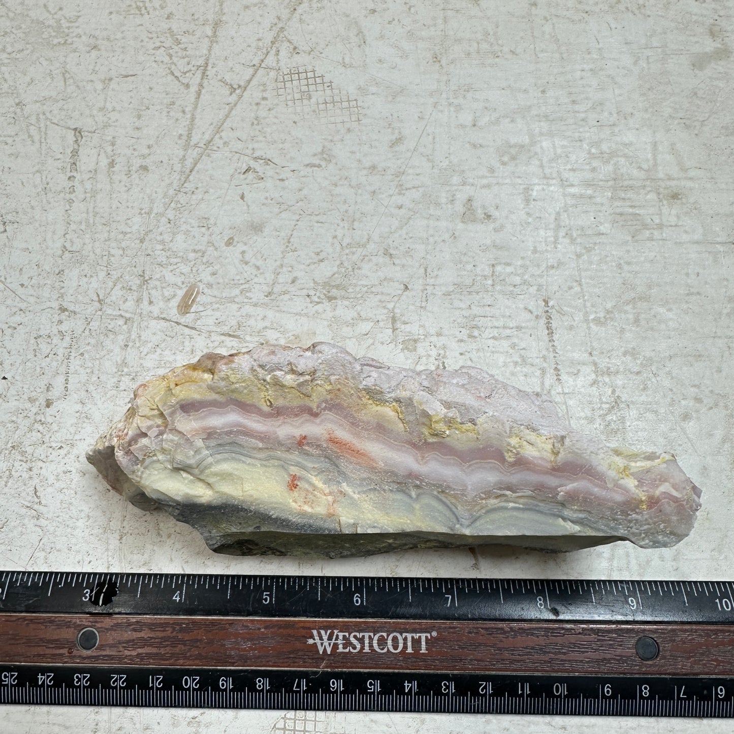 WINDY MOUNTAIN AGATE Rough - 1.09 Pounds