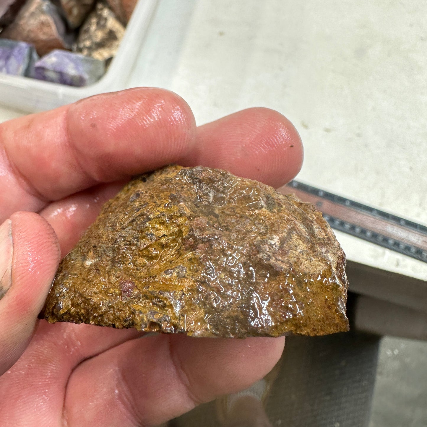 COYOMITO AGATE Rough - 0.21 Pounds