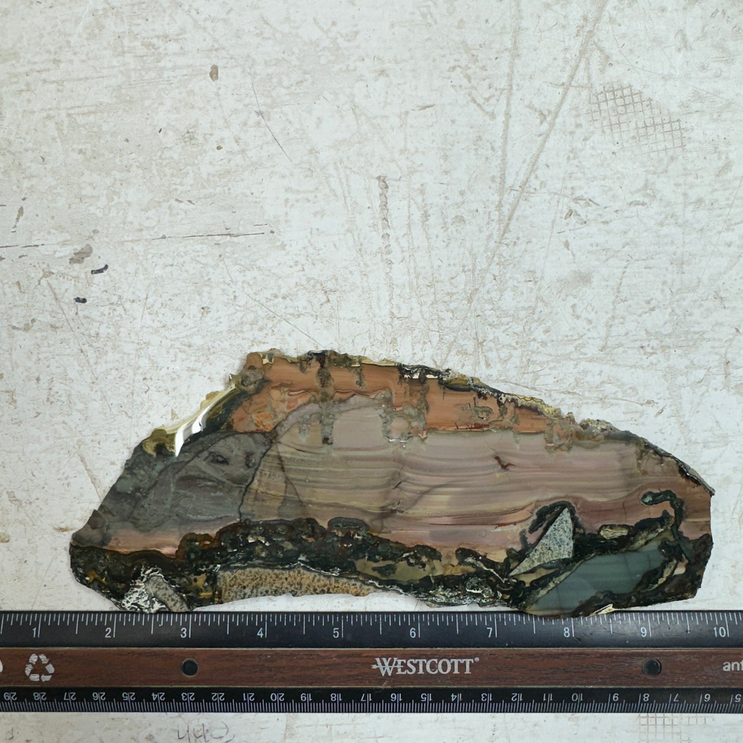 BLUE MOUNTAIN JASPER Polished Specimen Slab - 217 grams