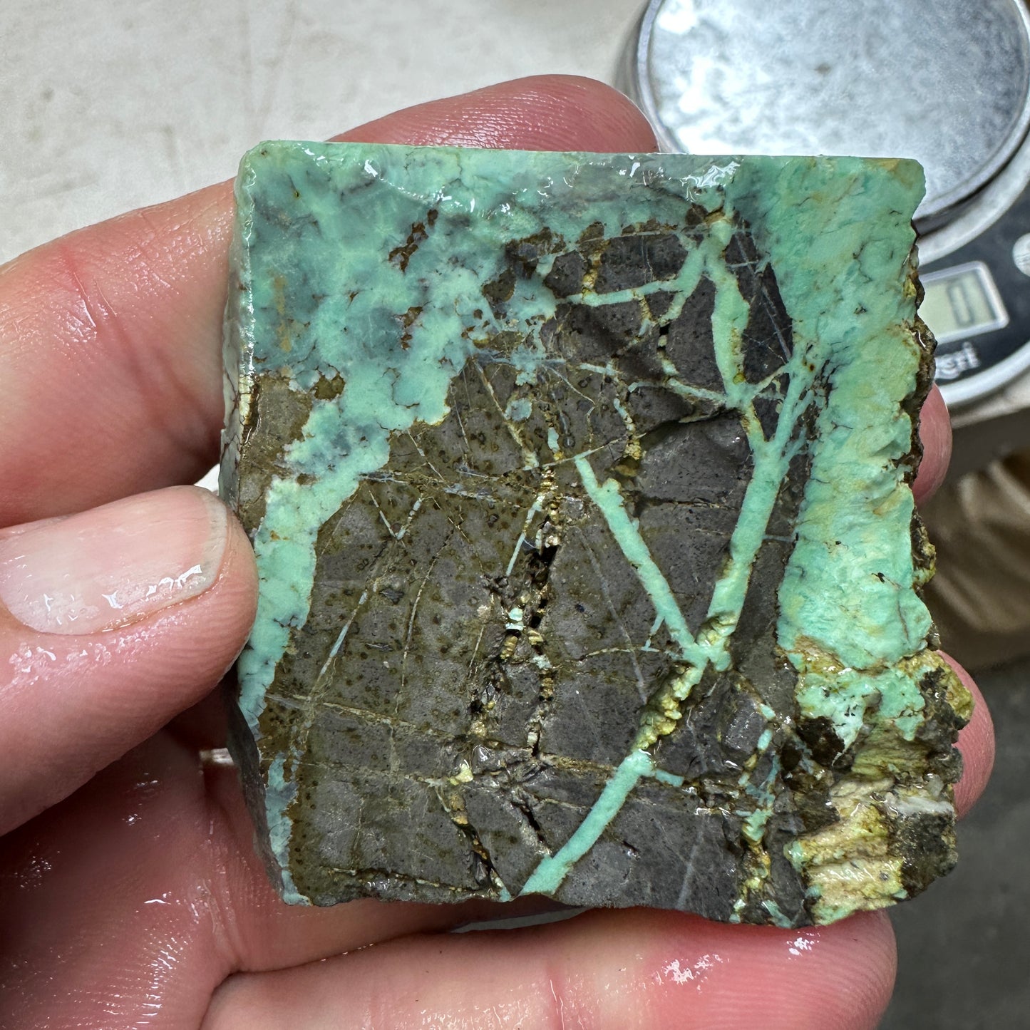 BROKEN ARROW VARISCITE Trimmed Rough Slab - 89 grams