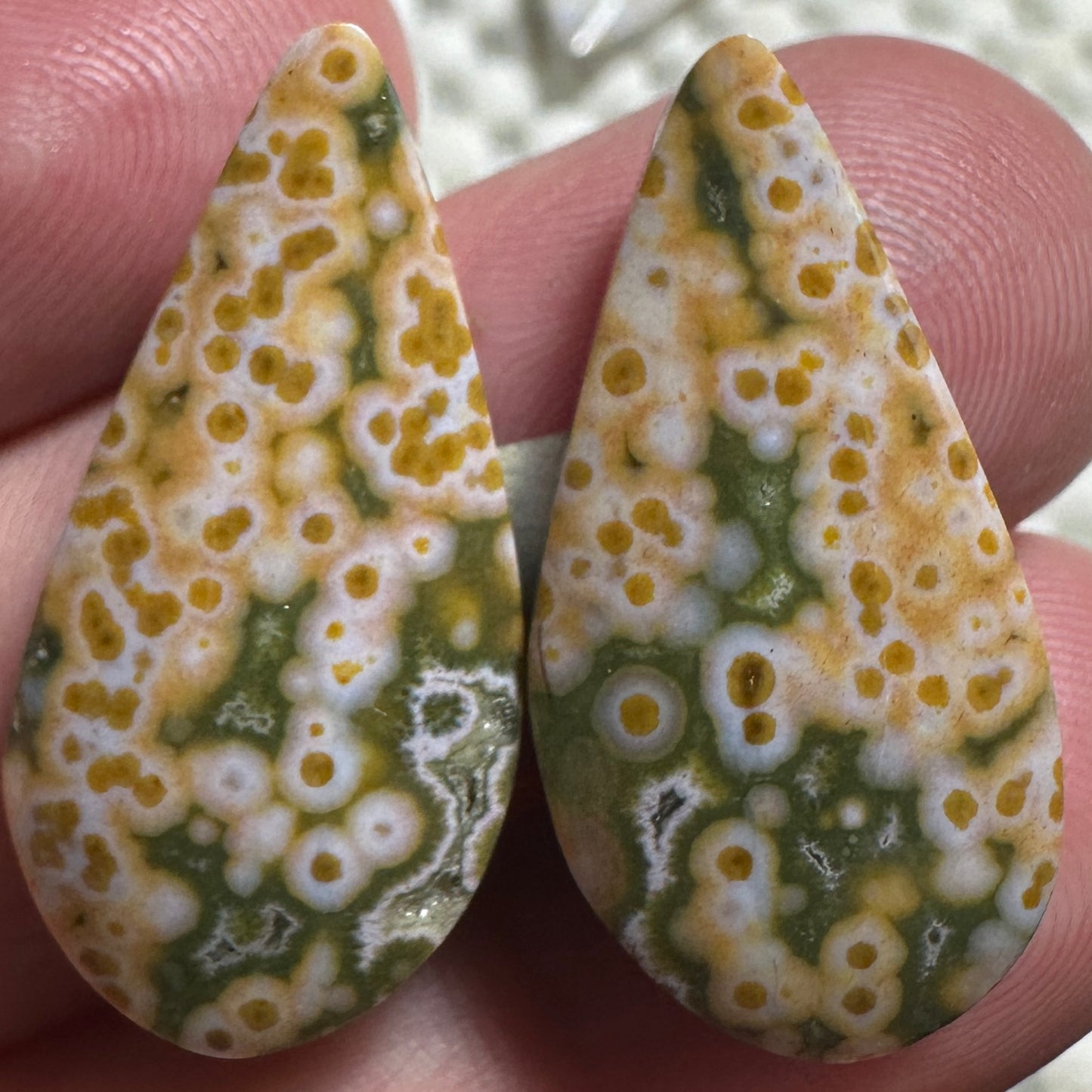 RIVER JASPER cabochon pair