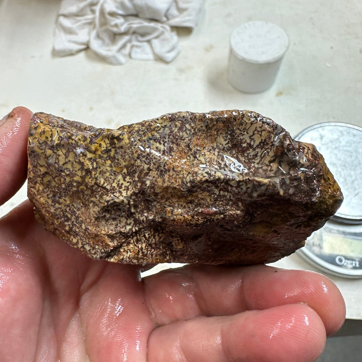 GEMBONE Dinosaur Bone Faced Rough - 0.86 Pounds