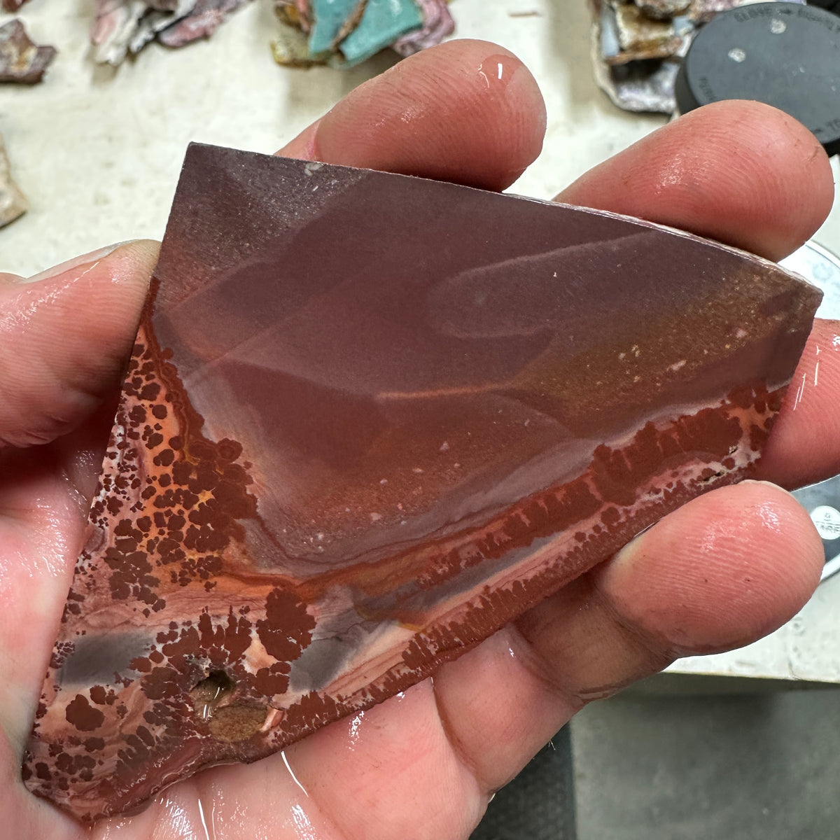 Apache Rhyolite APACHE RHYOLITE Slab - 68 grams – SilverHill Lapidary