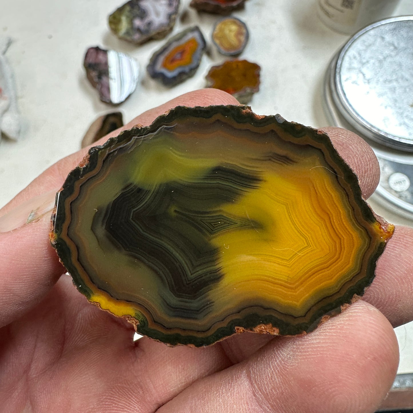 CONDOR AGATE Polished Specimen