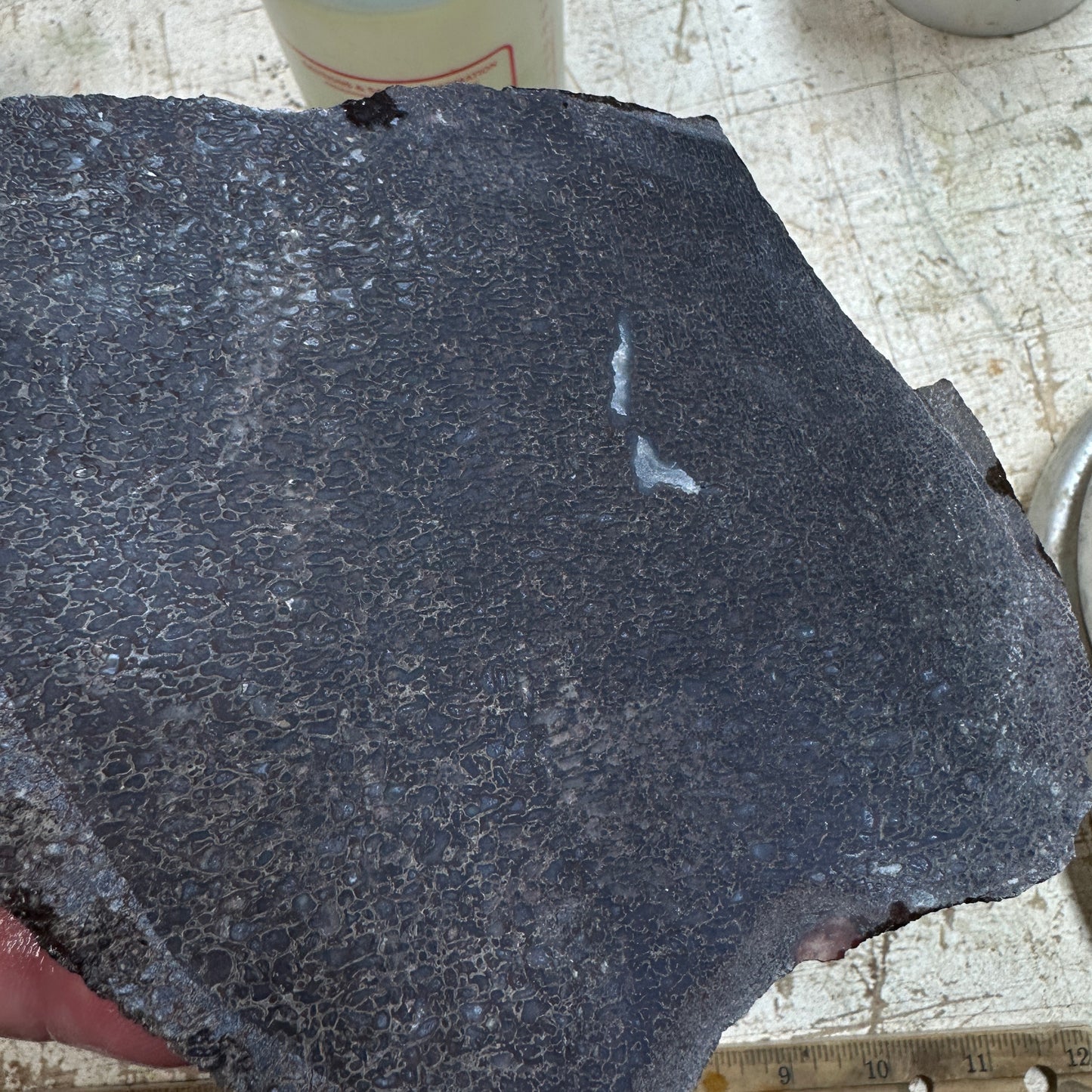 GEMBONE Dinosaur Bone Slab - 288 grams