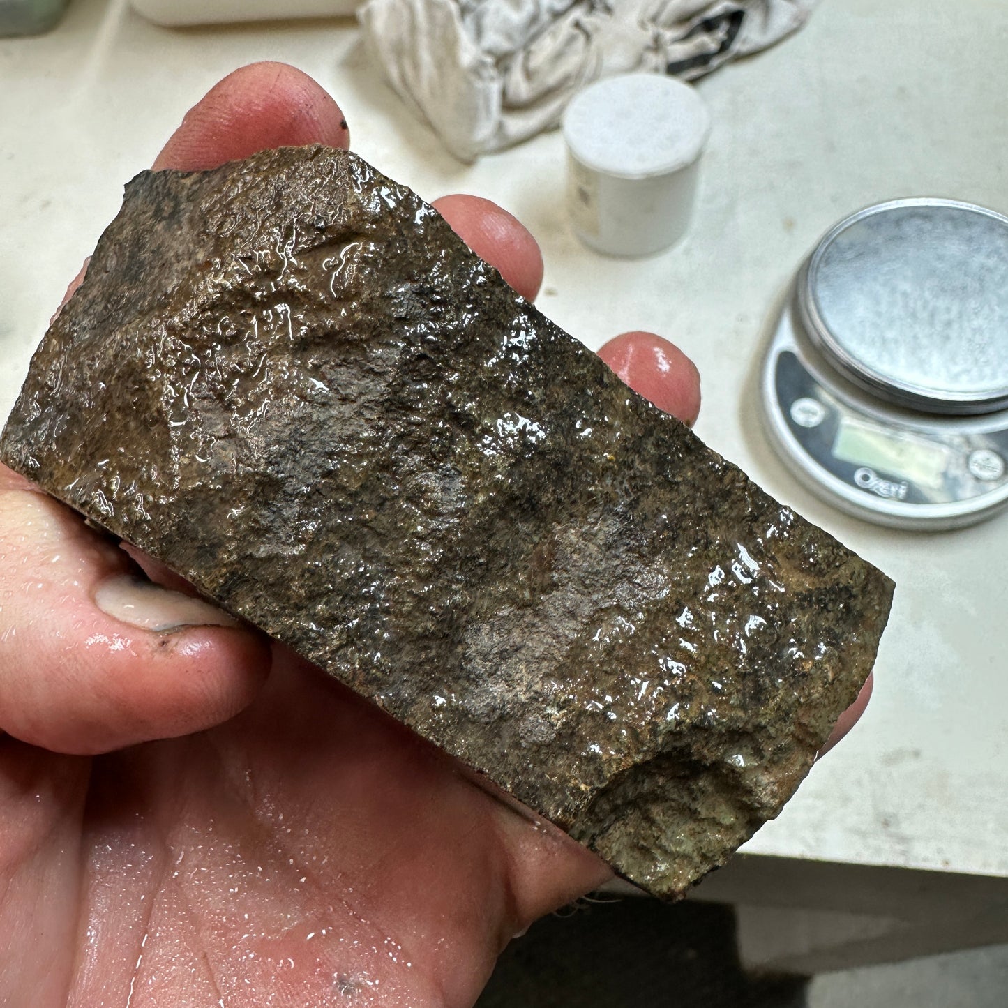 GEMBONE Dinosaur Bone Faced Rough - 0.95 Pounds