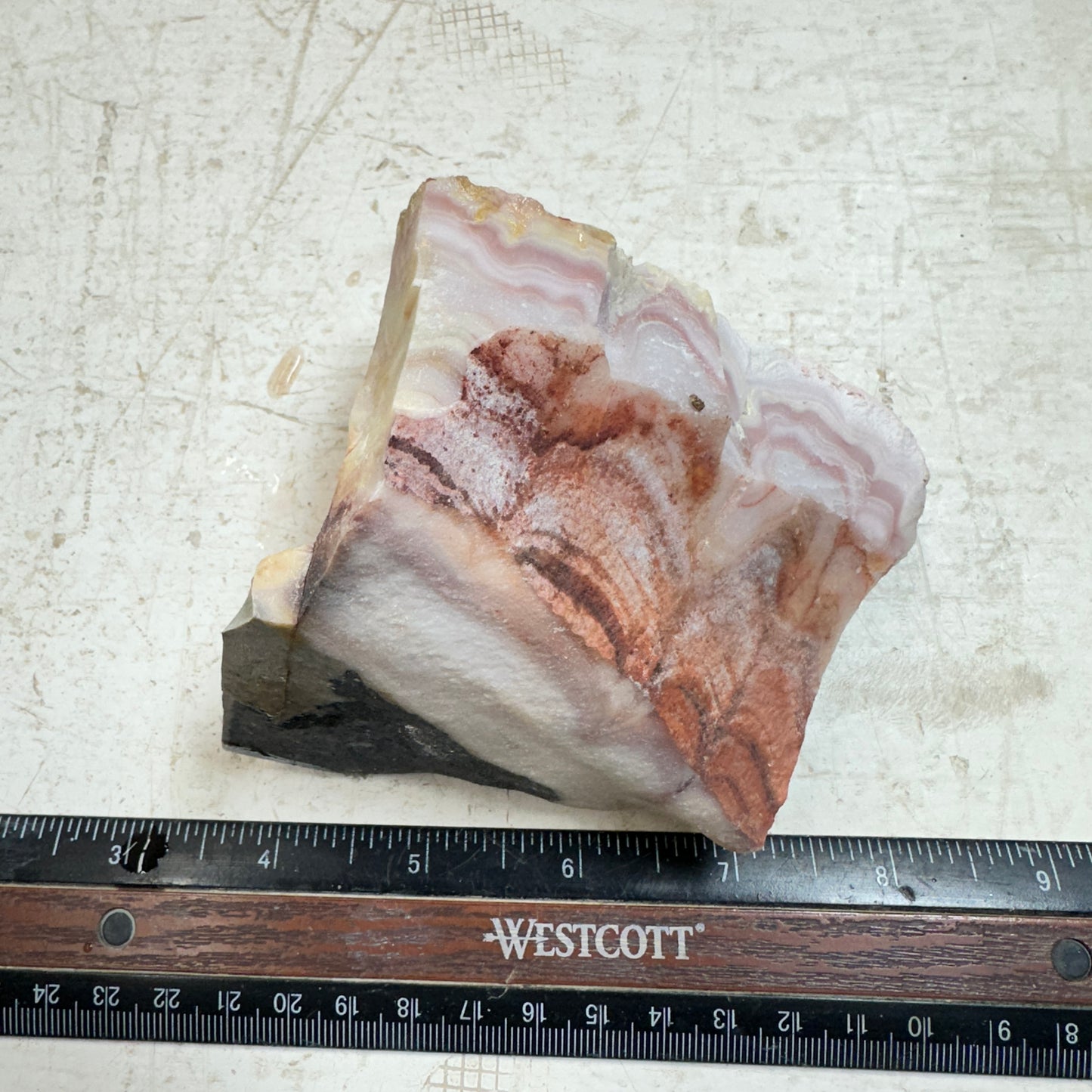WINDY MOUNTAIN AGATE Rough - 1.50 Pounds