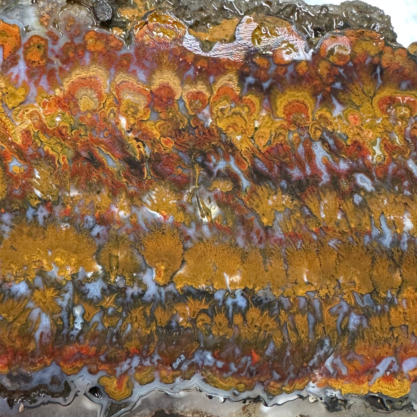 WINGATE PASS PLUME AGATE Windowed Rough - 1.15 Pounds
