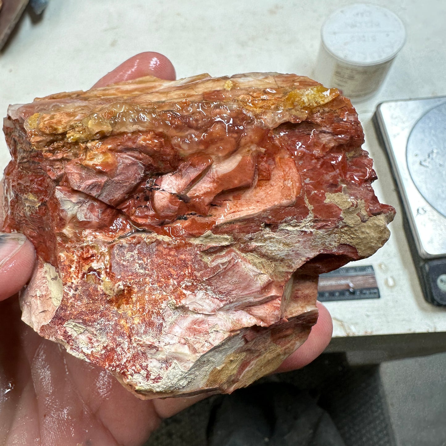 Red HOWARDITE Faced Rough - 14.7ozs